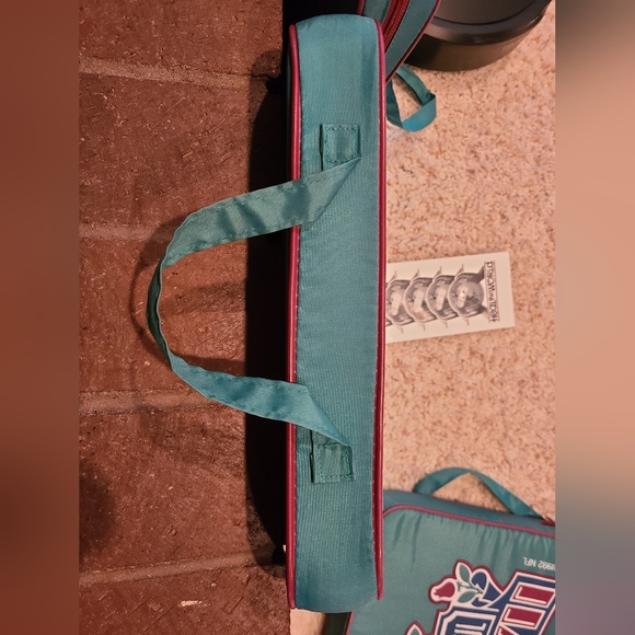 Super Bowl XXVII Stadium Giveaway Seat Cushions - Picture 6 of 12